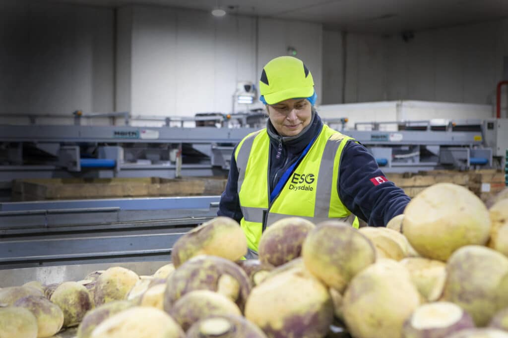 ESG Drysdale Factory swede packing staff