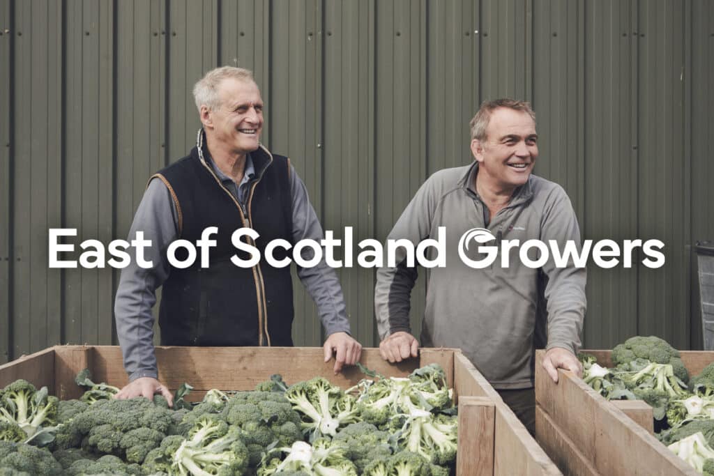 ESG growers and their broccoli crops in front of a large farm shed